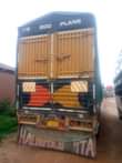 A picture of Fuso longbase