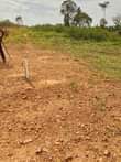 A picture of Good plots of land in sentema for sale near mirembe