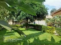 A picture of Executive 3Bedroom Stand Alone house for Rent on Kisasi Rd