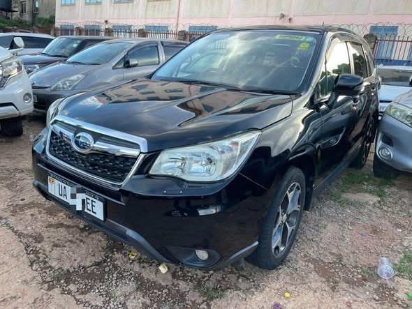 A picture of Forester 2015 At 55m