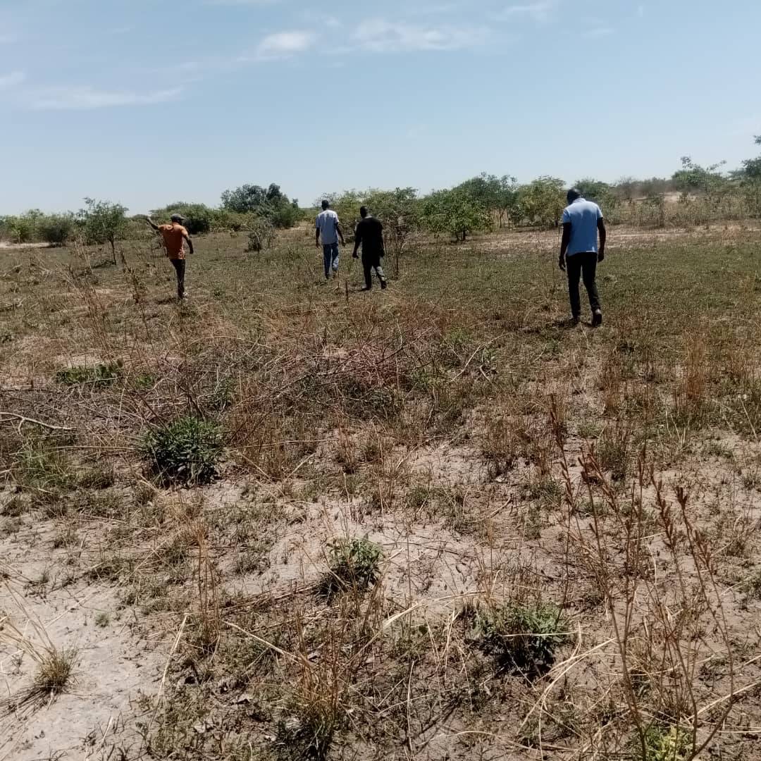 zambia plots