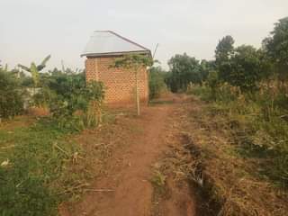 A picture of Busubuzi price 85by30 at 4 3m only bombo 2km from