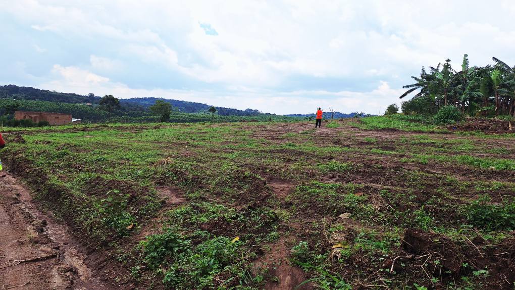 A picture of PLOTS AT 1 5M