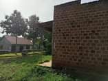 A picture of House