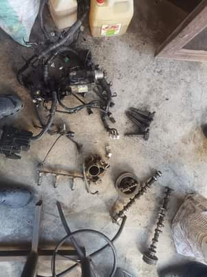 coils
