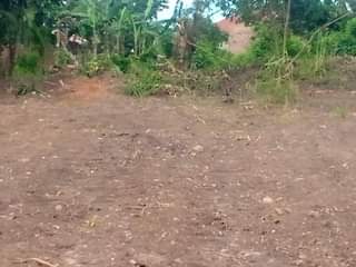 A picture of PLOTS IN WAKISO GOBERO AT 8M