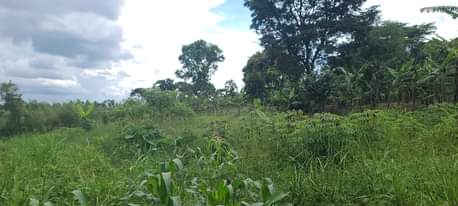 A picture of Semuto road Kanyanda Kawumu near President M7 Home 4.5acres of