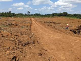 A picture of Kasanje Buwaya Estate