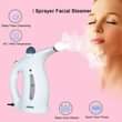 A picture of 4 in 1 Plastic Electric Iron Portable Handheld Garment and