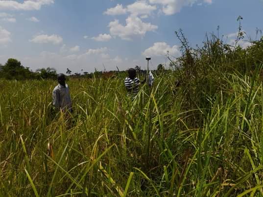 A picture of Land