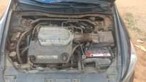 A picture of Honda Accord 2010