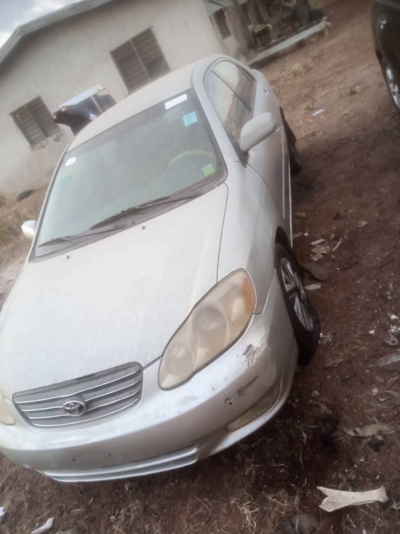 A picture of COROLLA