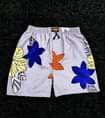 A picture of Boxer kamba