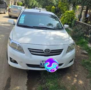 used toyota corolla