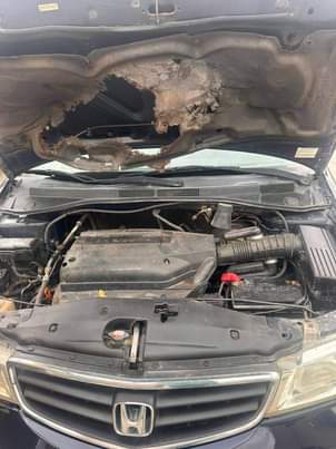 A picture of 2005 HONDA Odyssey