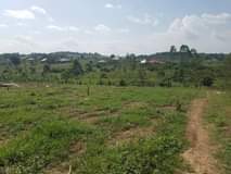A picture of Land