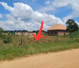 A picture of Cheap plot in a very strategic area Kitungwa Bombo road