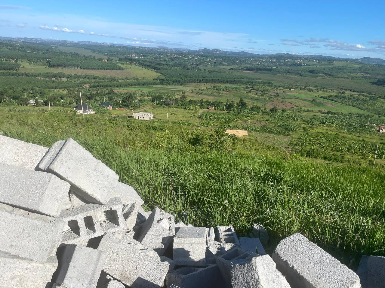 A picture of PRIME ESTATE LOCATED WAKISO LUTIISI