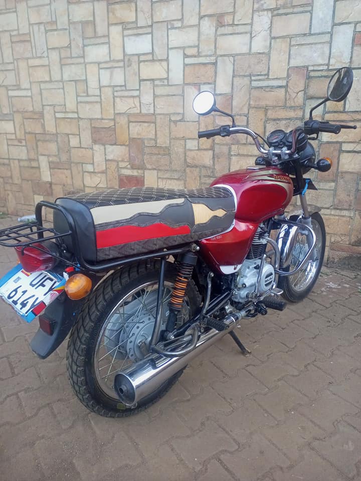 motorbikes