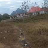 A picture of VIWANJA VIZURI VINAUZWA BUNJU
