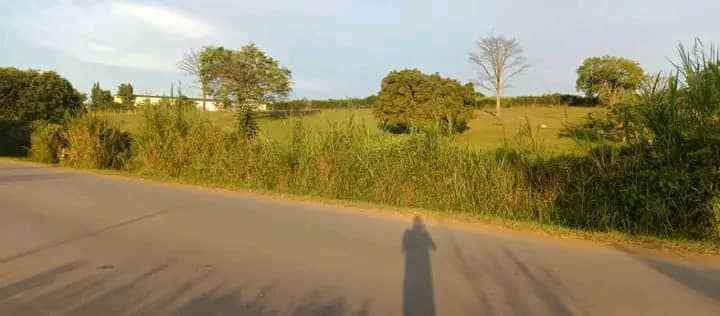houses matugga