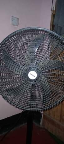 A picture of FENI INAUZWA BEI POA SANA