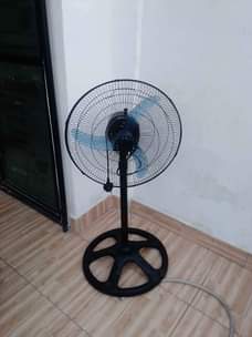 A picture of Feni