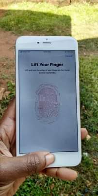 A picture of Iphone6splus