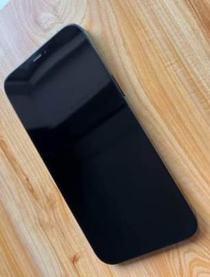 iphone 12pro