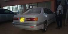 A picture of PRIMO UAL on quick sale 8M located at Kawanda Call