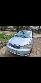 A picture of COROLLA