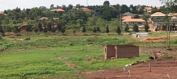 A picture of Plots