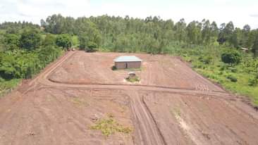 A picture of 50 100 Plots for sale
