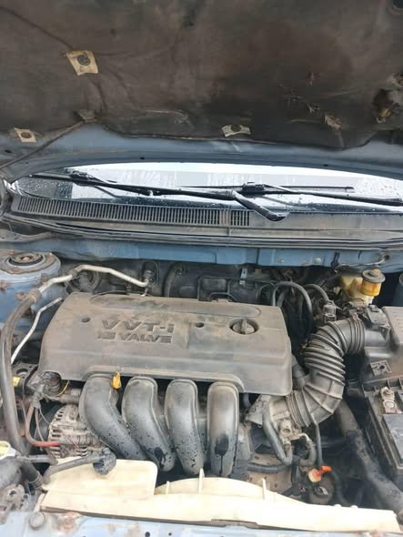 A picture of Toyota Corolla 06