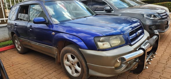 A picture of Subaru forester 2022