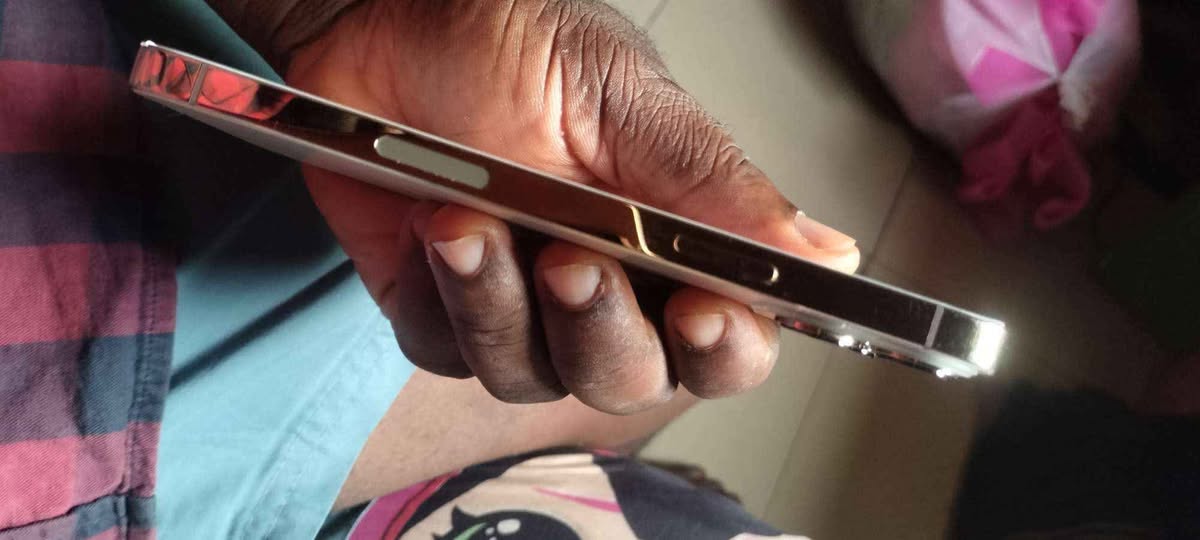 A picture of IPhone 13 pro max