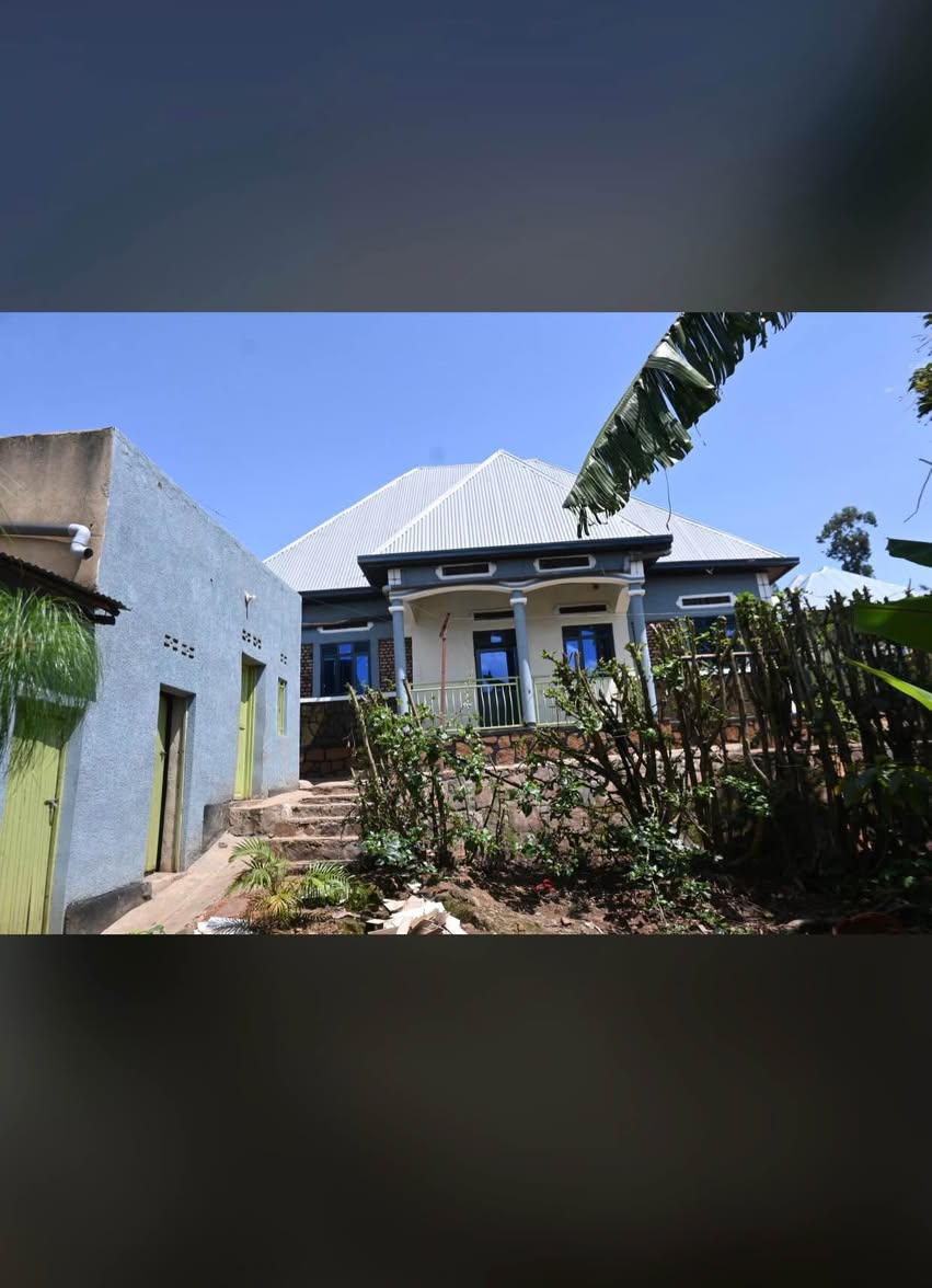houses for rent