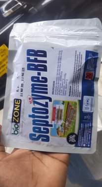 A picture of Enzymes backteria