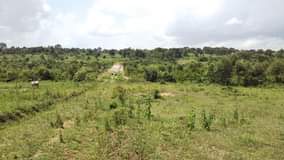 houses hoima