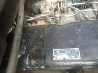 A picture of FUSO MINGNON
