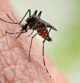 A picture of New mosquito killer machine zimewasili tena 0687369088