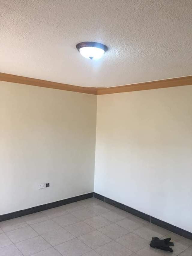 A picture of Katungi properties