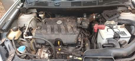 A picture of Nissan dualis
