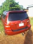 A picture of FRESHLY BAKED HIGHLANDER PAINTED ON FIRSTBODY Price 2 2m Dm