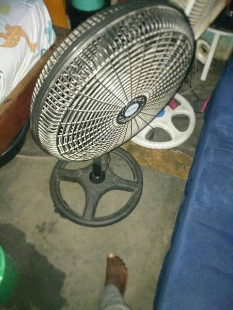 A picture of feni