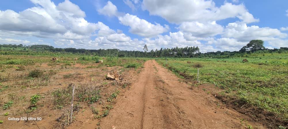 A picture of Nakawuka Jjungo Kasanje estate