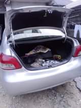 A picture of 2004 Toyota Yaris