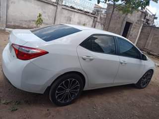 A picture of Belgium trade first body 2014 15 Corolla