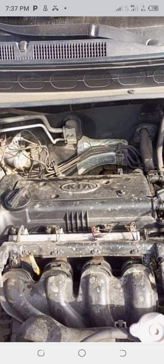 A picture of Kia