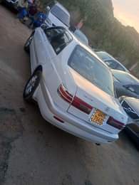 A picture of 10m 0707033900